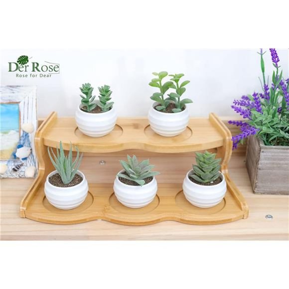 Set of 6 Succulents Plants Artificial in Pots Small Fake Plants for Bedroom - Picture 3 of 6